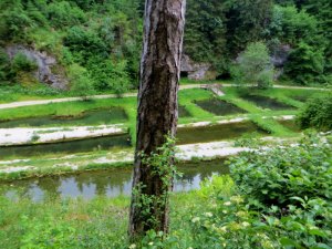 Frankenweg von Streitberg nach Pottenstein