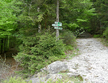 Joggingtour von Bodenmais auf den Arber