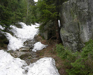 Joggingtour von Bodenmais auf den Arber