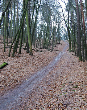 Joggingtour im Sdosten von Berlin