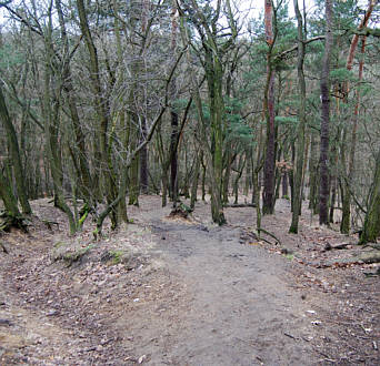 Joggingtour im Sdosten von Berlin