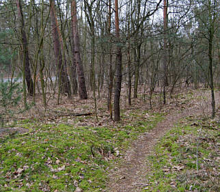 Joggingtour im Sdosten von Berlin