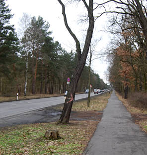 Joggingtour im Sdosten von Berlin