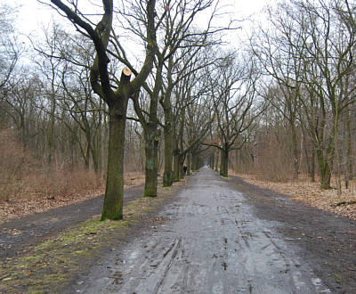 Joggingtour im Sdosten von Berlin