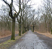 Joggingtour im Sdosten von Berlin