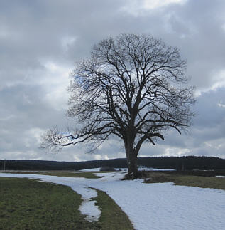 Joggingtour durchs lschnitz-Tal, Weimain-Tal und Fichtelgebirge