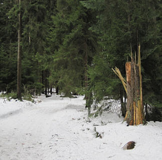 Joggingtour durchs lschnitz-Tal, Weimain-Tal und Fichtelgebirge