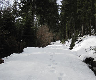 Joggingtour durchs lschnitz-Tal, Weimain-Tal und Fichtelgebirge