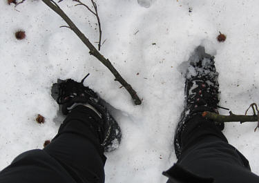 Joggingtour durchs lschnitz-Tal, Weimain-Tal und Fichtelgebirge