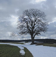 Joggingtour durchs lschnitz-Tal, Weimain-Tal und Fichtelgebirge