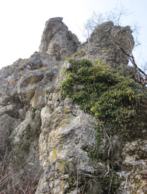 Joggingtour Forchheim - Rettener Kanzel