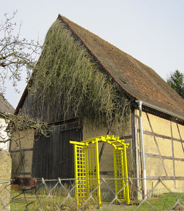 Joggingtour von Forchheim aufs Walberla und zurck