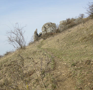 Joggingtour von Forchheim aufs Walberla und zurck