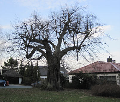 Joggingtour von Forchheim aufs Walberla und zurck