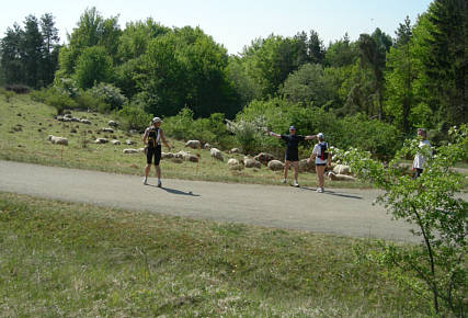 Frankenweg von  Sindlbach nach Deining