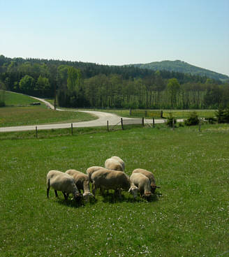 Frankenweg von  Sindlbach nach Deining