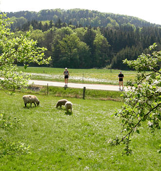 Frankenweg von  Sindlbach nach Deining
