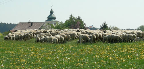 Frankenweg von  Sindlbach nach Deining