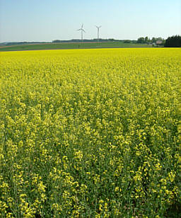 Frankenweg von  Sindlbach nach Deining