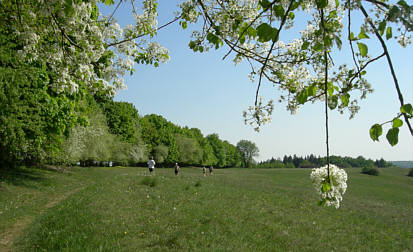 Frankenweg von  Sindlbach nach Deining