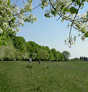 Frankenweg von  Sindlbach nach Deining