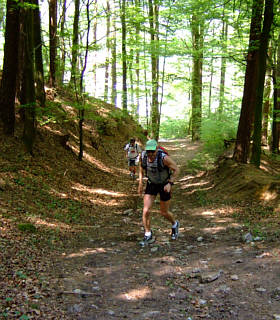 Frankenweg von  Sindlbach nach Deining