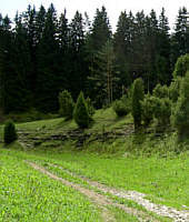 Frankenweg von Weismain nach Streitberg