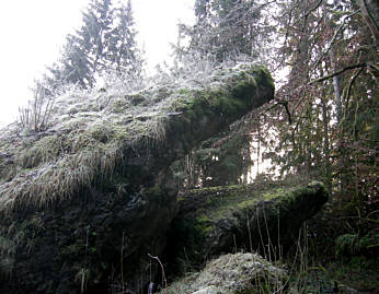 Frankenweg von Pottenstein nach Egloffstein