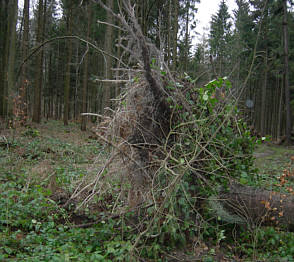 Frankenweg von  Egloffstein nach Lillinghof