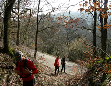 Frankenweg von  Lillinghof nach Engelthal