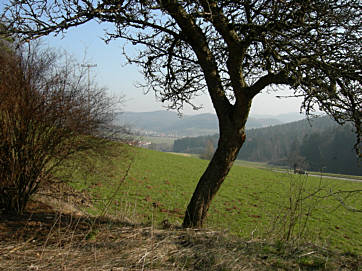 Frankenweg von  Lillinghof nach Engelthal