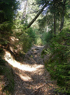 Frankenweg von  Lillinghof nach Engelthal