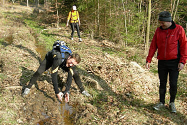 Frankenweg von  Lillinghof nach Engelthal