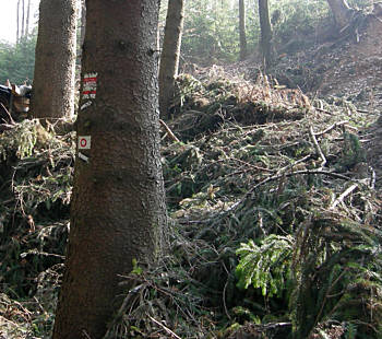 Frankenweg von  Lillinghof nach Engelthal