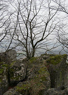 Frankenweg von  Lillinghof nach Engelthal