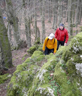 Frankenweg von  Lillinghof nach Engelthal