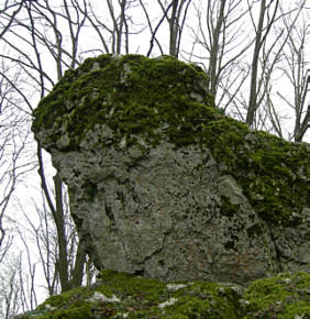 Frankenweg von  Lillinghof nach Engelthal