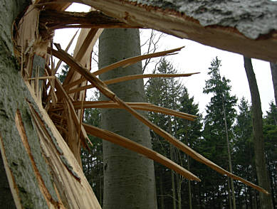 Frankenweg von  Lillinghof nach Engelthal