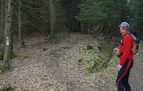 Frankenweg von  Lillinghof nach Engelthal