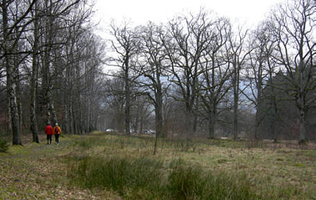 Frankenweg von  Lillinghof nach Engelthal