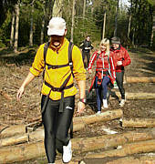 Frankenweg von  Lillinghof nach Engelthal