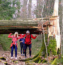 Frankenweg von  Lillinghof nach Engelthal