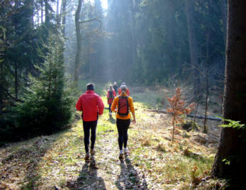 Frankenweg von  Lillinghof nach Engelthal