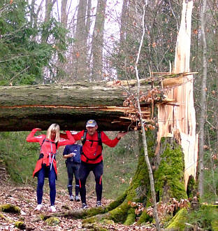 Frankenweg von  Lillinghof nach Engelthal