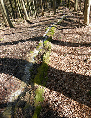 Frankenweg von  Engelthal nach Sindlbach