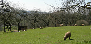 Frankenweg von  Engelthal nach Sindlbach