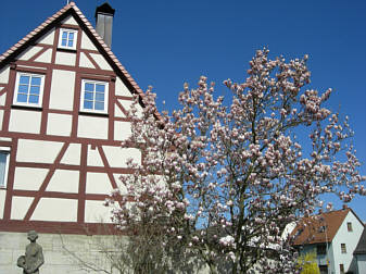 Frankenweg von  Engelthal nach Sindlbach