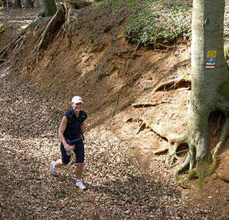 Frankenweg von  Engelthal nach Sindlbach