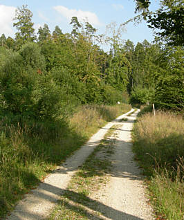 Frankenweg Etappe 11