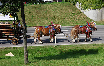 Frankenweg Etappe 11